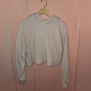 Aritzia Sunday Best Cropped Hoodie